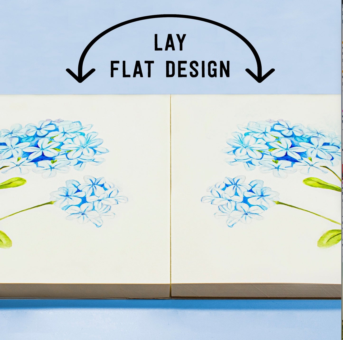 The A4 student grade watercolour paper pad with 300gsm paper and 20 pages, has a lay flat design - Stationery Island