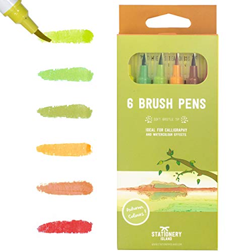 6 autumn colours brush pens in their box packaging with a line of each colour marked on the side - Stationery Island 